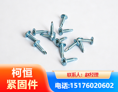 玉林华司钻尾丝