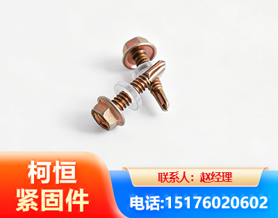 玉林六角钻尾丝